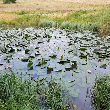 8 Person In Sjolund-by Traum Ferienhaus Hejls